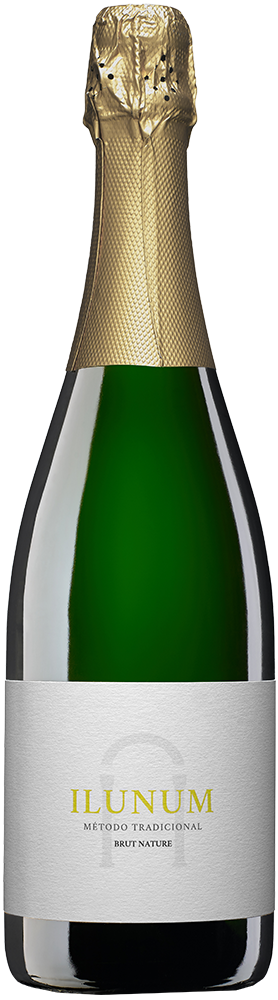 2022 Ilunum Espumoso Castilla VT trocken - Ilunum