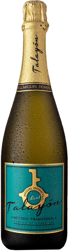 Talayón Cádiz VT brut - Bodega Miguel Domecq