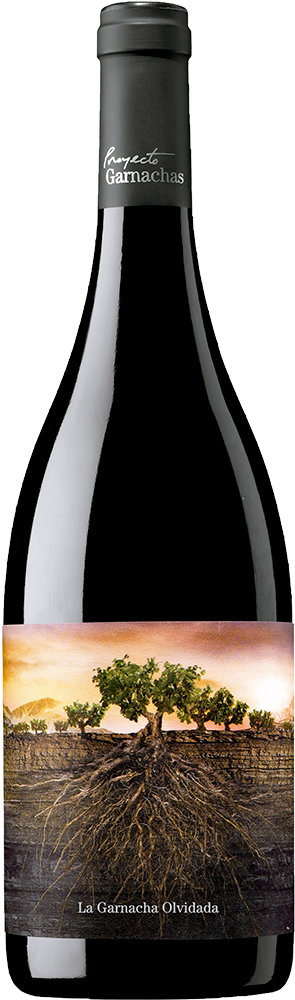 2022 La Garnacha Olvidada de Aragón Calatayud DO trocken - Proyecto Garnachas