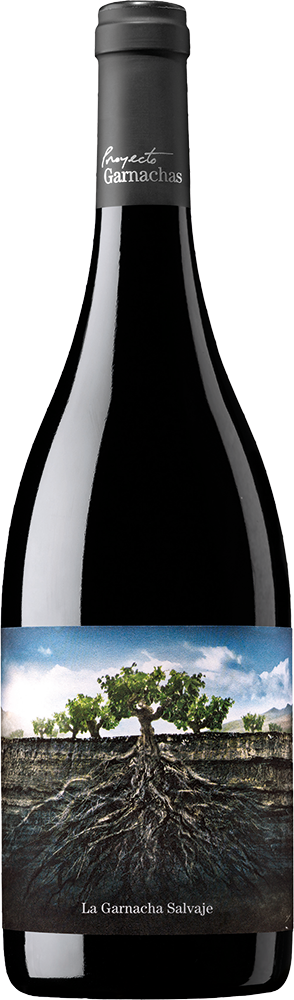 2022 La Garnacha Salvaje del Moncayo Ribera del Queiles VT trocken - Proyecto Garnachas