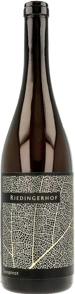 2021 Sasspinot Mitterberg IGP trocken - Riedingerhof