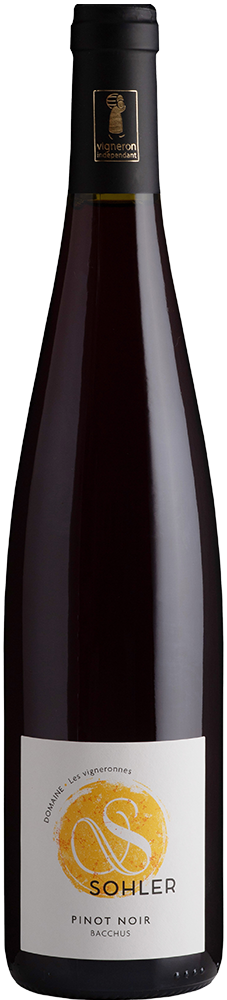 2024 Pinot Noir Alsace AOP trocken Bio - Domaine Sohler Les Vigneronnes