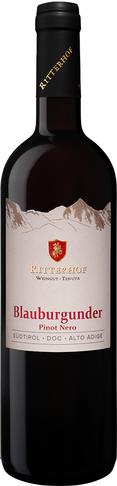 2024 Blauburgunder Alto Adige DOC trocken - Ritterhof Weingut - Tenuta