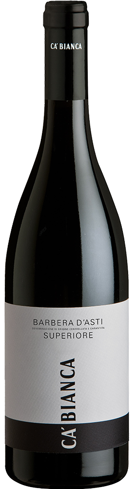 2022 Barbera d'Asti Superiore DOCG trocken - Travino Special Gruppo Italiano Vini