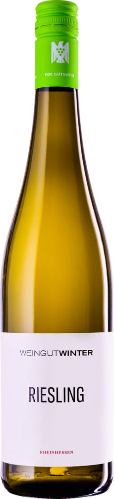 2019 Riesling VDP.GUTSWEIN trocken - Weingut Winter