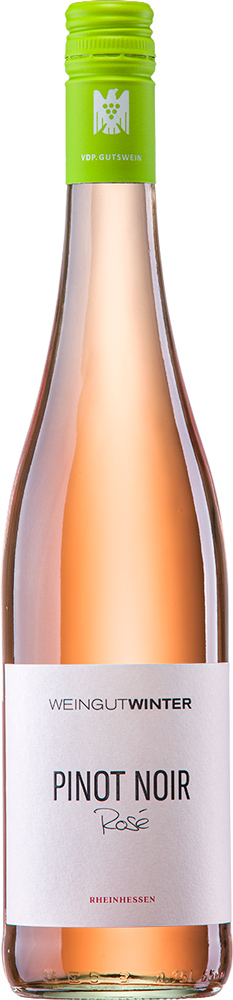 Stefan Winter 2021 PINOT NOIR Rosé | VDP.Gutswein trocken