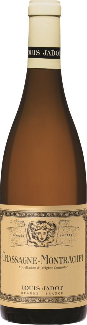 WirWinzer Spezial 2023 Chassagne Montrachet trocken