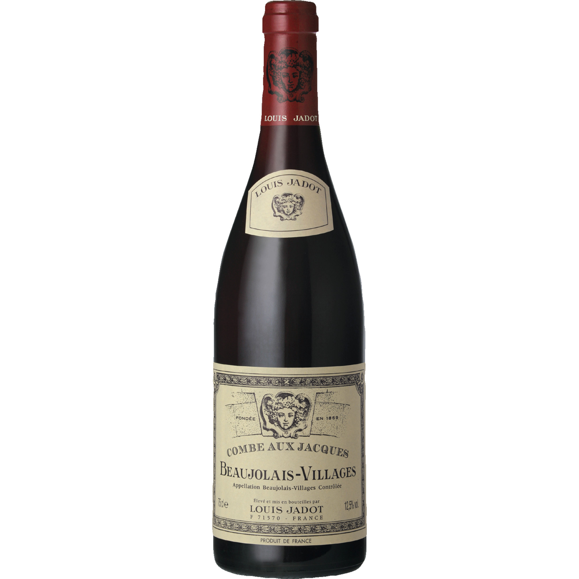 WirWinzer Spezial 2024 Combe aux Jacques trocken