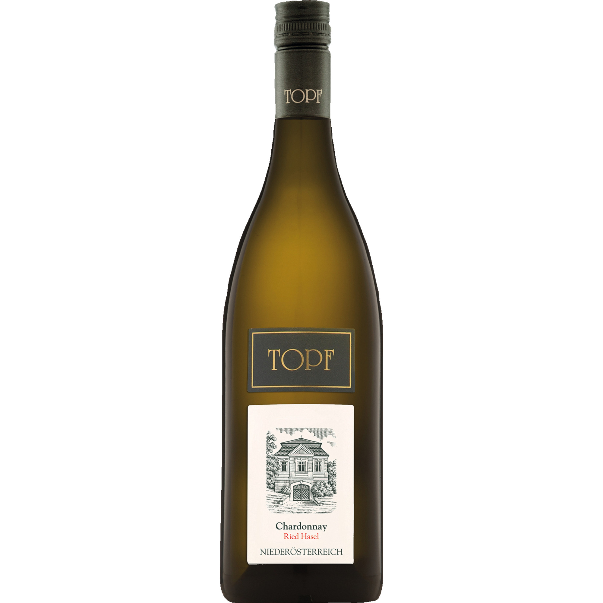 WirWinzer Spezial 2022 Johann Topf Chardonnay Hasel trocken