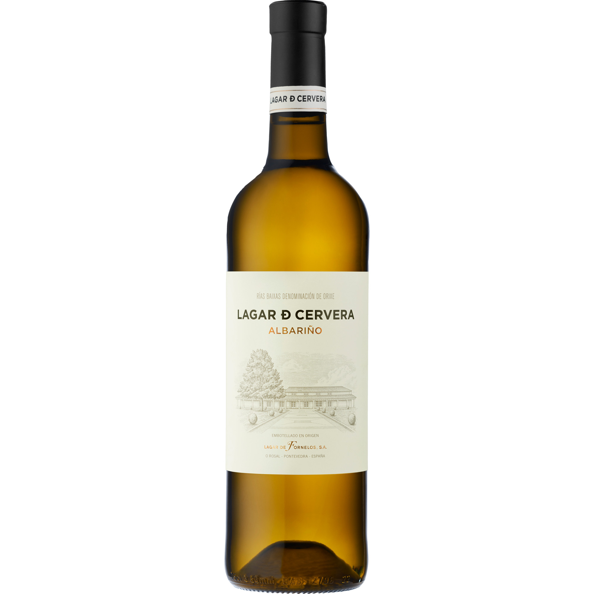 WirWinzer Spezial 2024 Lagar de Cervera Albariño trocken