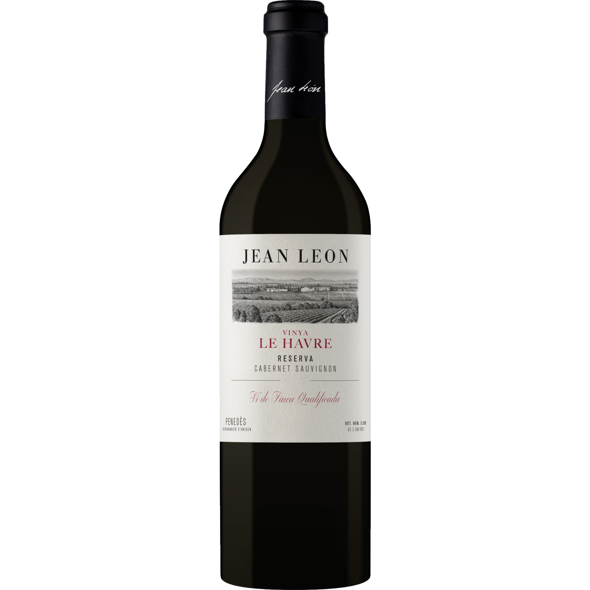 WirWinzer Spezial 2021 Vinya le Havre Cabernet Sauvignon Reserva trocken
