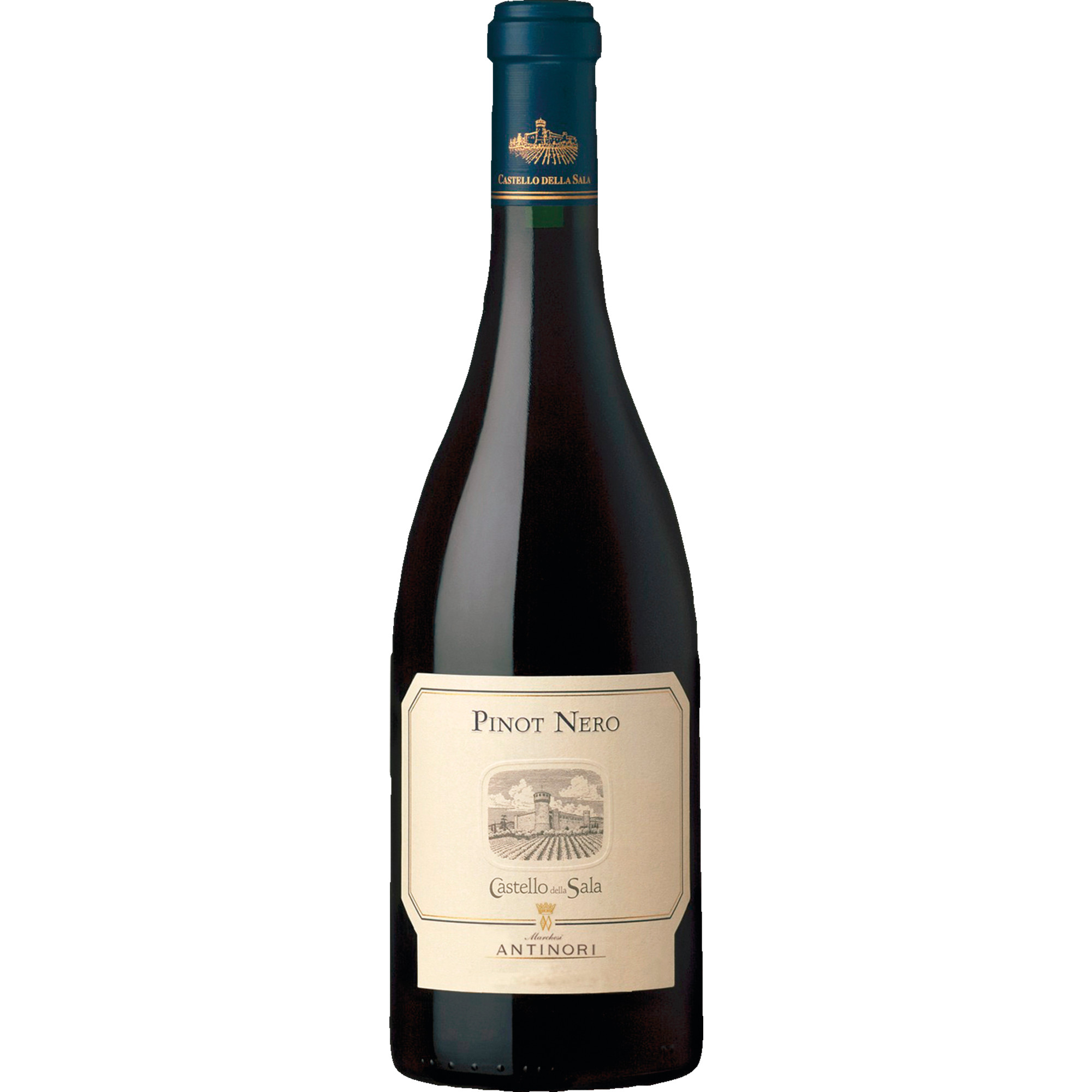 WirWinzer Spezial 2022 Pinot Nero della Sala trocken
