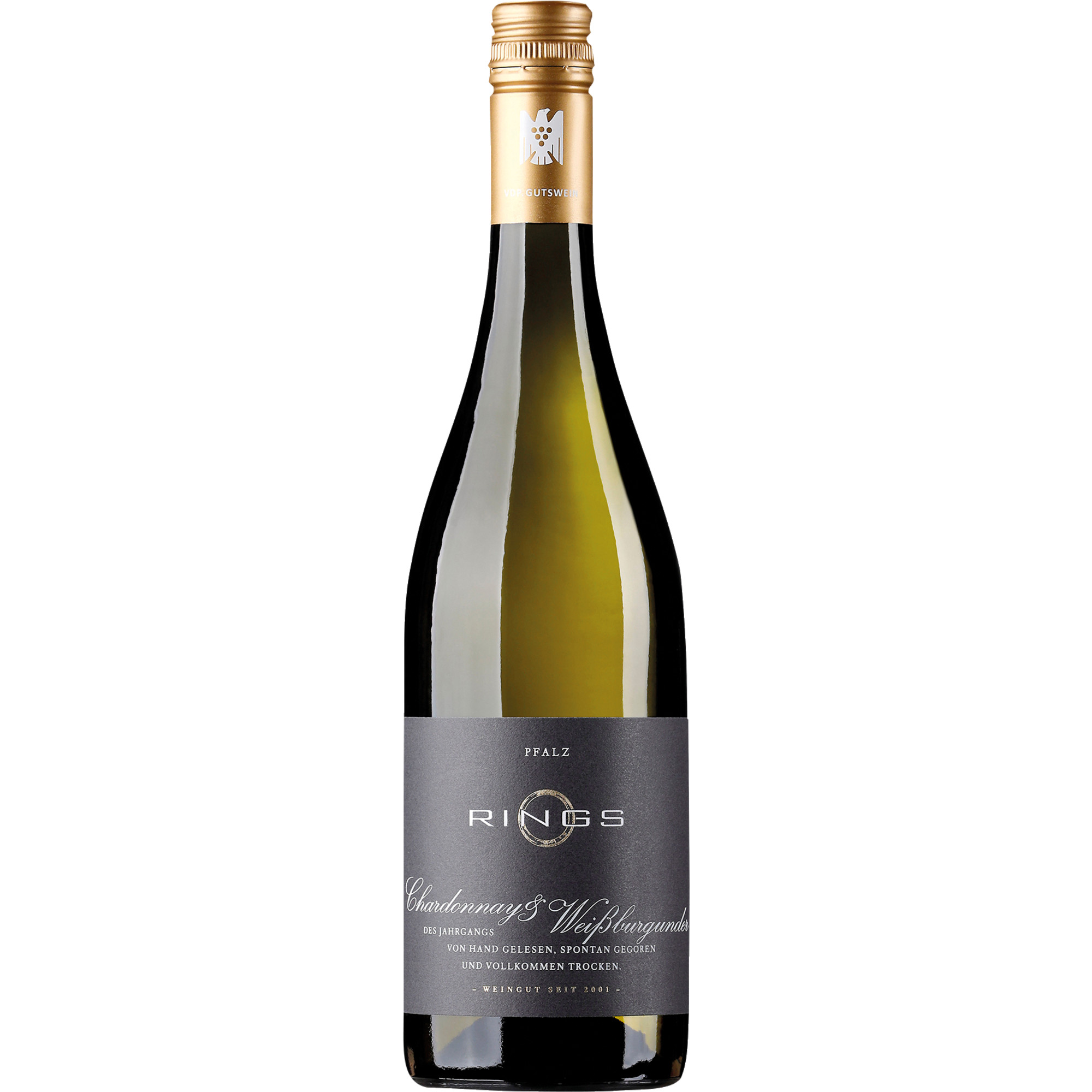 WirWinzer Spezial 2023 Rings Chardonnay & Weissburgunder trocken