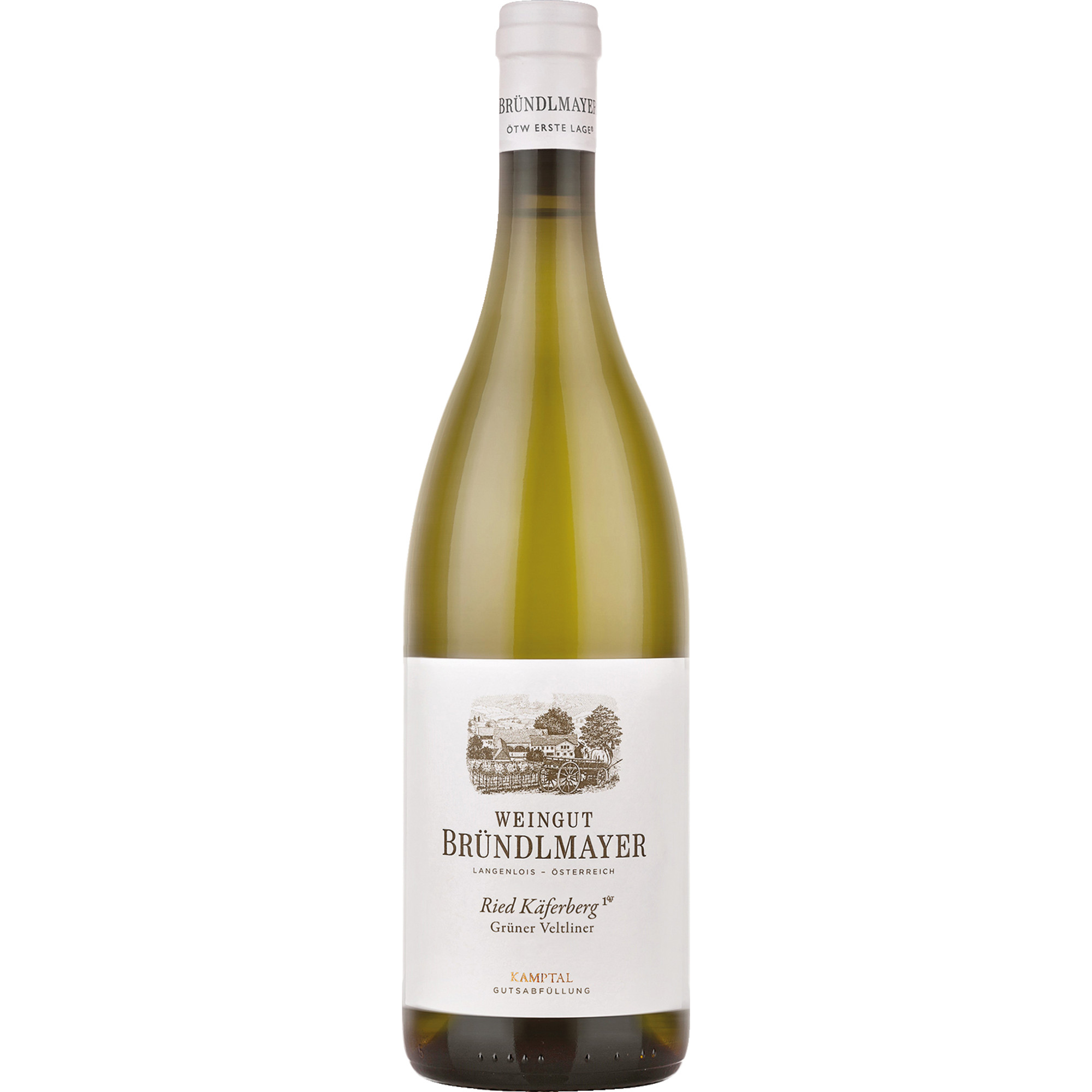 WirWinzer Spezial 2020 Bründlmayer Käferberg Ried Grüner Veltliner trocken