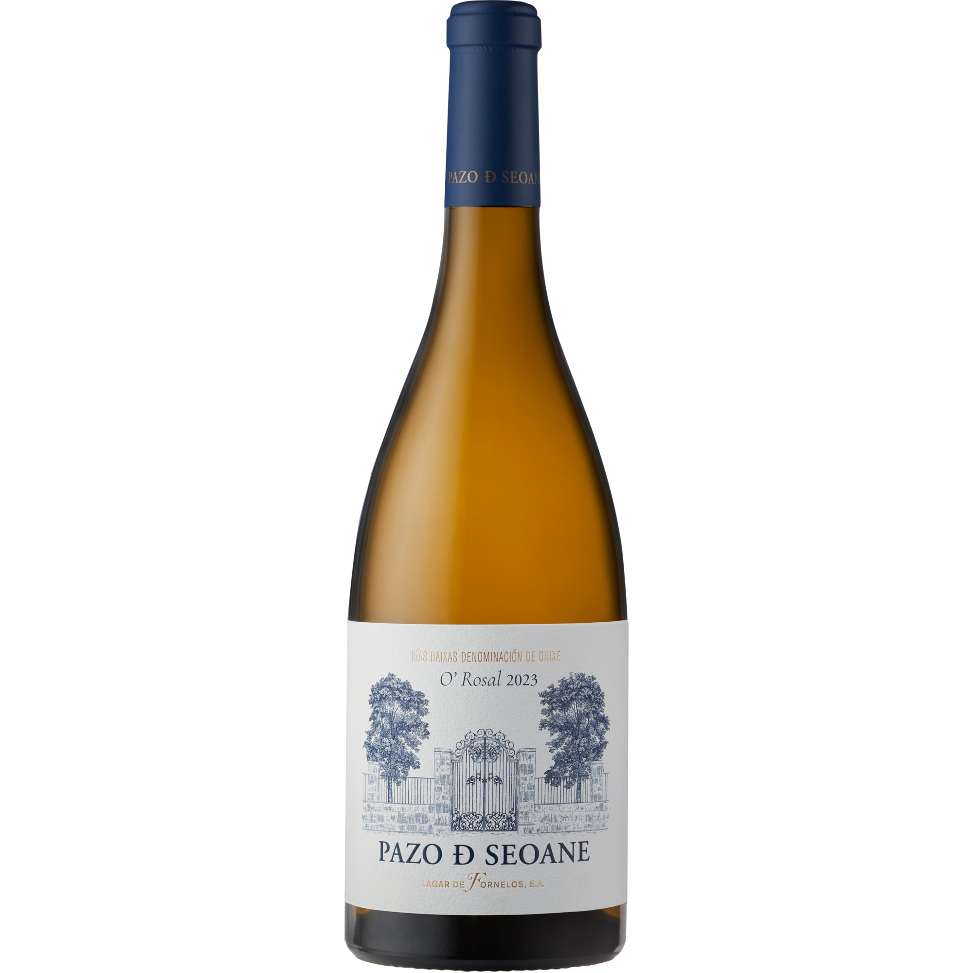 WirWinzer Spezial 2024 Pazo De Seoane Rosal trocken