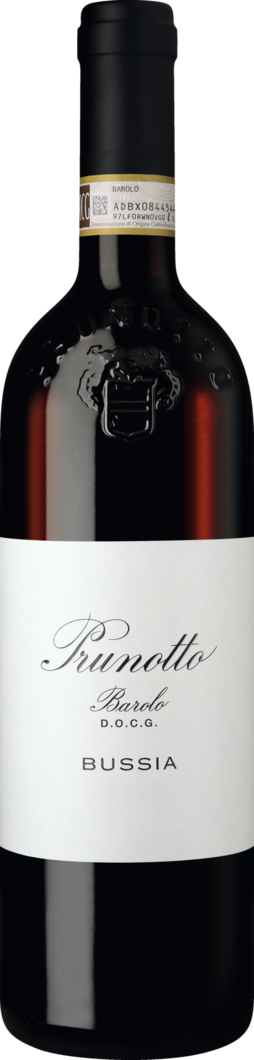 WirWinzer Spezial 2021 Bussia Barolo trocken