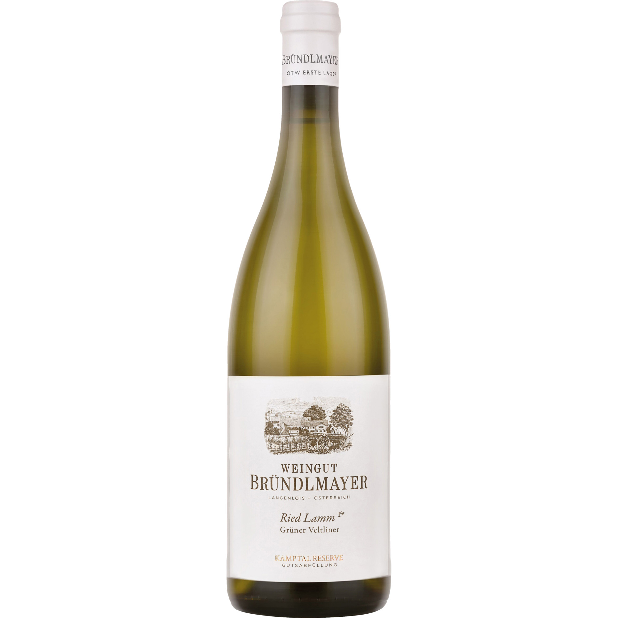WirWinzer Spezial 2022 Grüner Veltliner Kammerner Lamm trocken