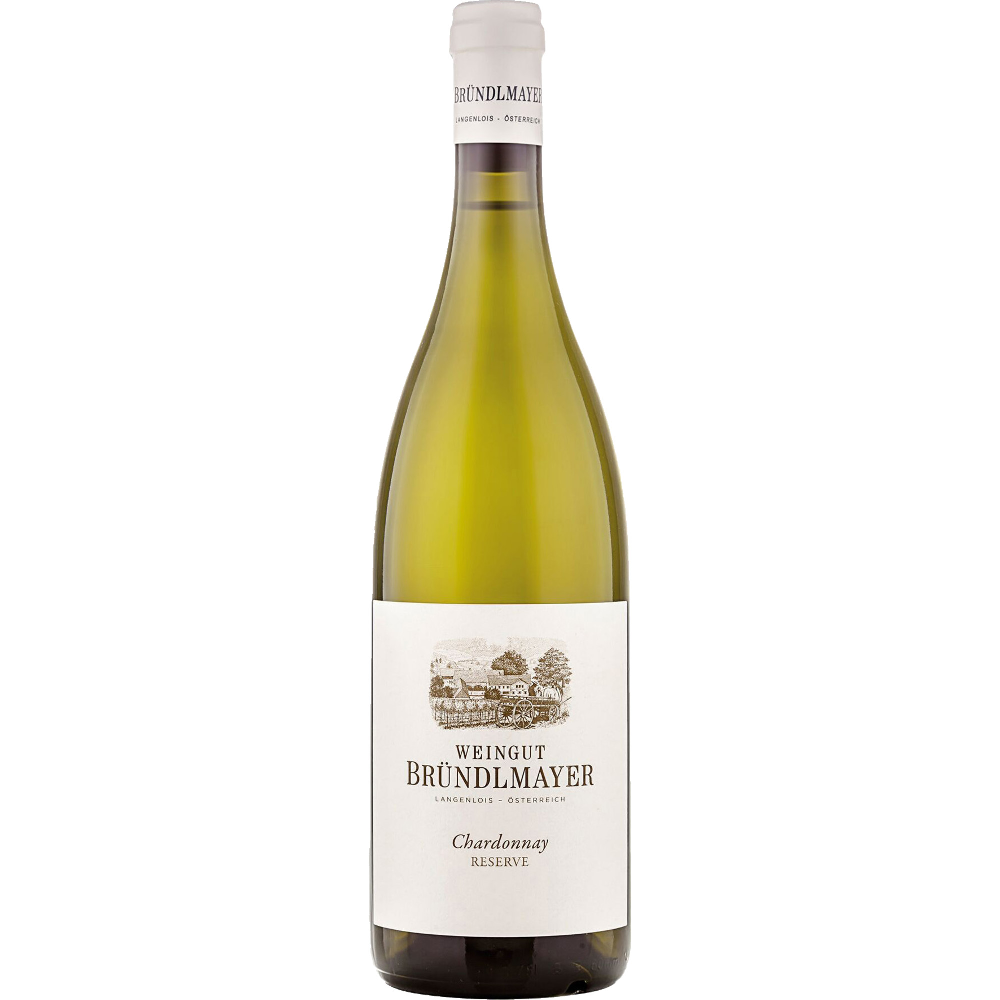 WirWinzer Spezial 2023 Ried Steinberg Chardonnay Reserve trocken
