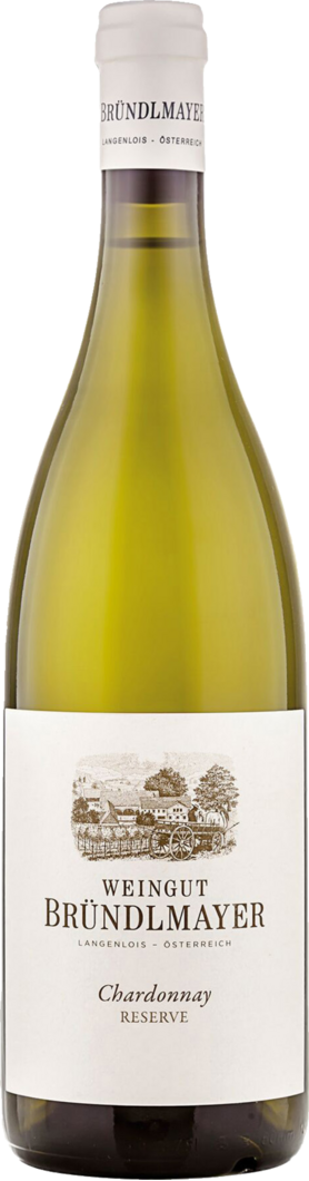 WirWinzer Spezial 2023 Ried Steinberg Chardonnay Reserve trocken