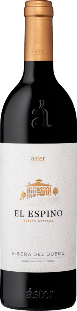 WirWinzer Spezial 2020 Aster El Espino trocken