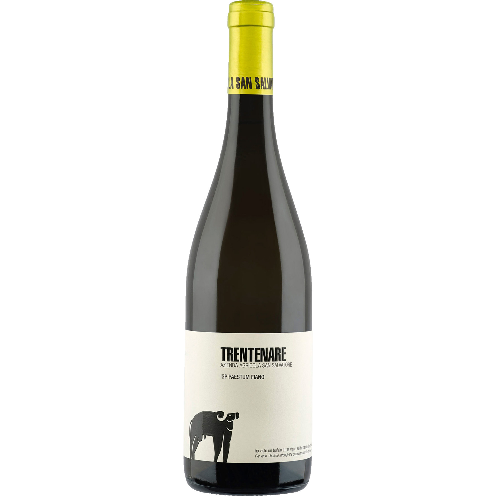 WirWinzer Spezial 2024 San Salvatore Trentenare Fiano trocken
