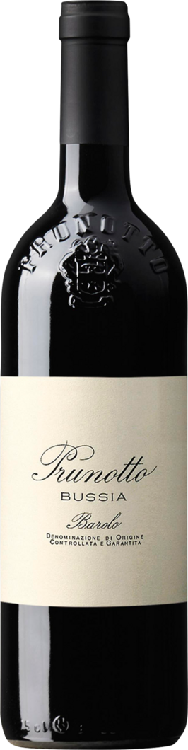 WirWinzer Spezial 2004 Bussia Barolo trocken