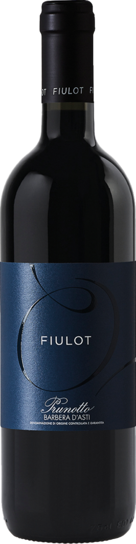 WirWinzer Spezial 2023 Fiulot Barbera d´Asti trocken