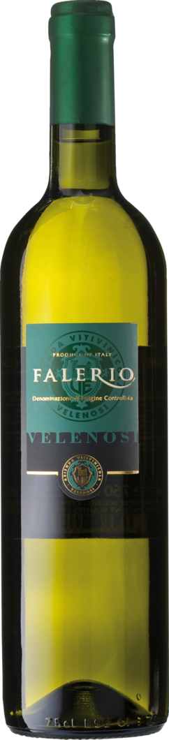 WirWinzer Spezial 2024 Falerio Bianco trocken
