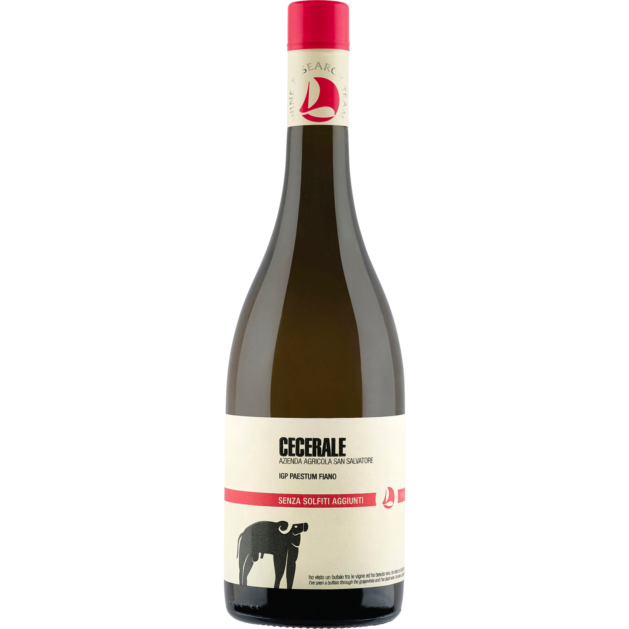 WirWinzer Spezial 2024 San Salvatore Cecerale trocken