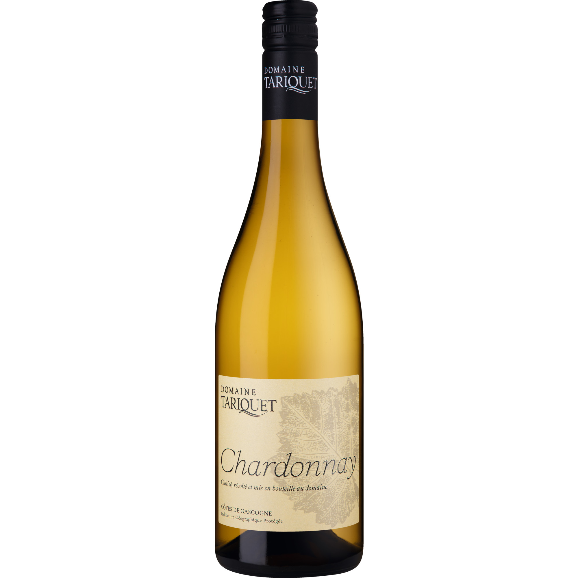 WirWinzer Select 2024 Domaine Tariquet Chardonnay trocken