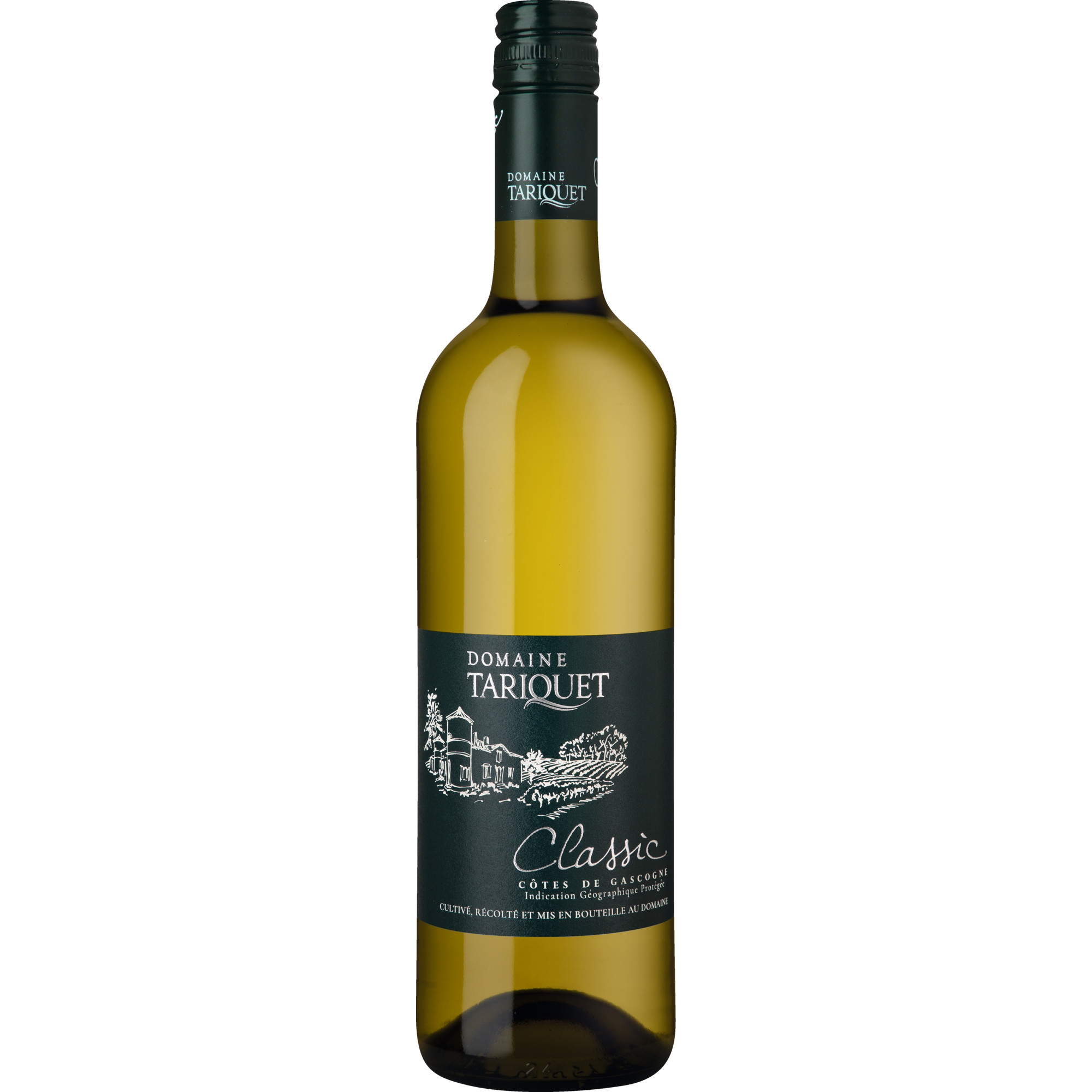 WirWinzer Select 2024 Domaine Tariquet Classic trocken