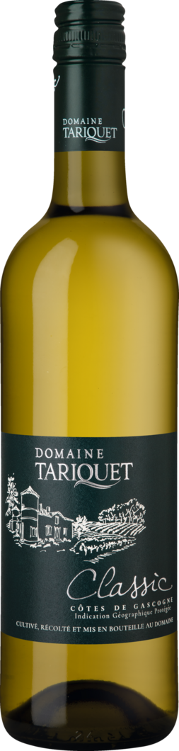WirWinzer Select 2024 Domaine Tariquet Classic trocken