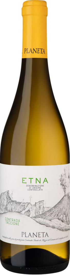 WirWinzer Select 2023 Etna Bianco trocken