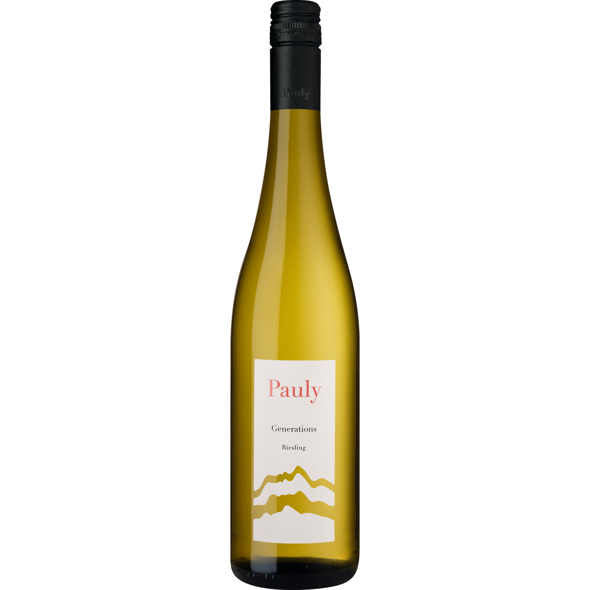 WirWinzer Select 2025 Generations Riesling trocken