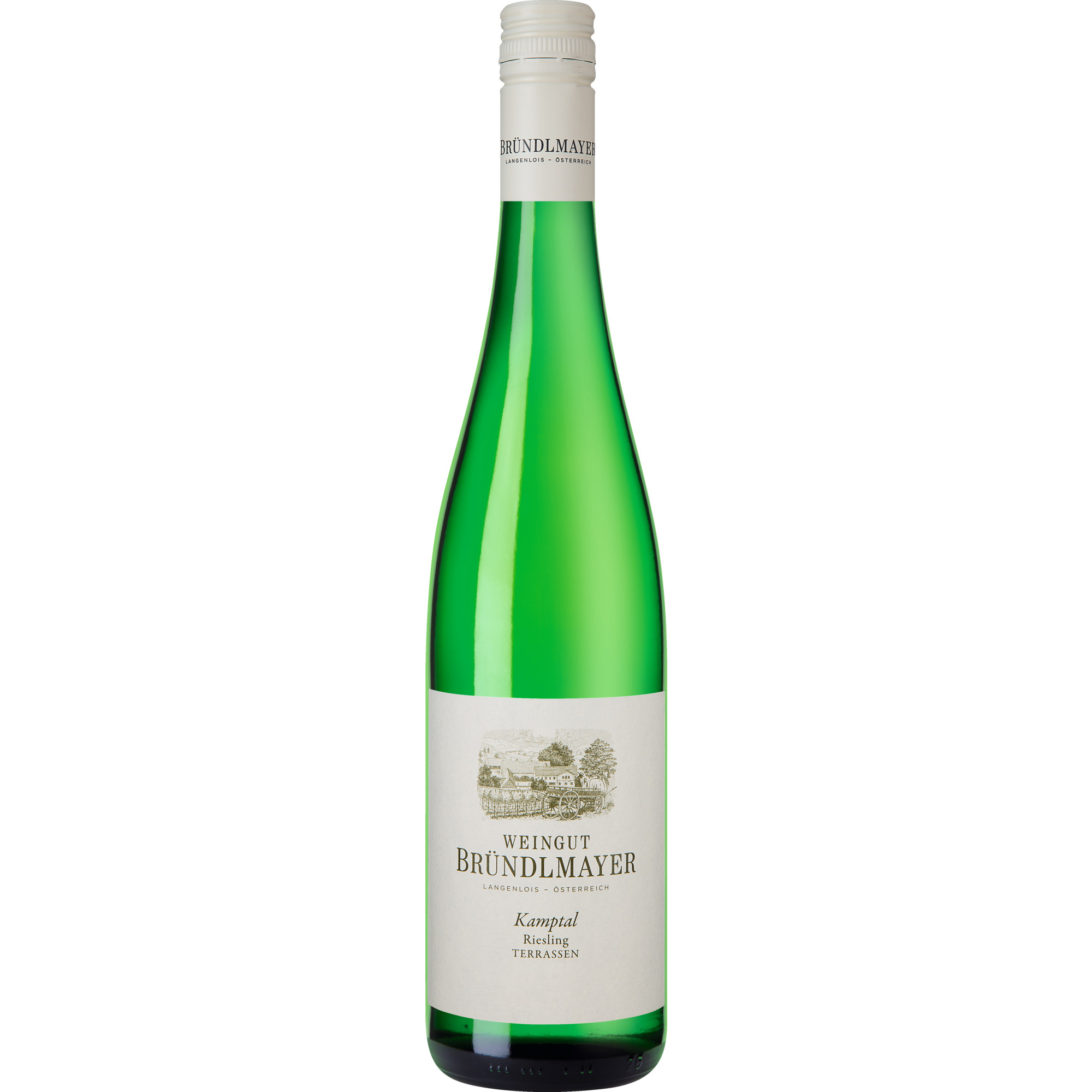 WirWinzer Select 2024 Kamptaler Terrassen Riesling trocken
