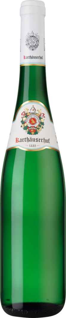 WirWinzer Select 2022 Eitelsbacher Riesling Alte Reben trocken