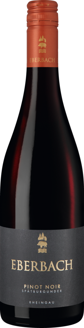 WirWinzer Select 2023 Eberbach Pinot Noir trocken