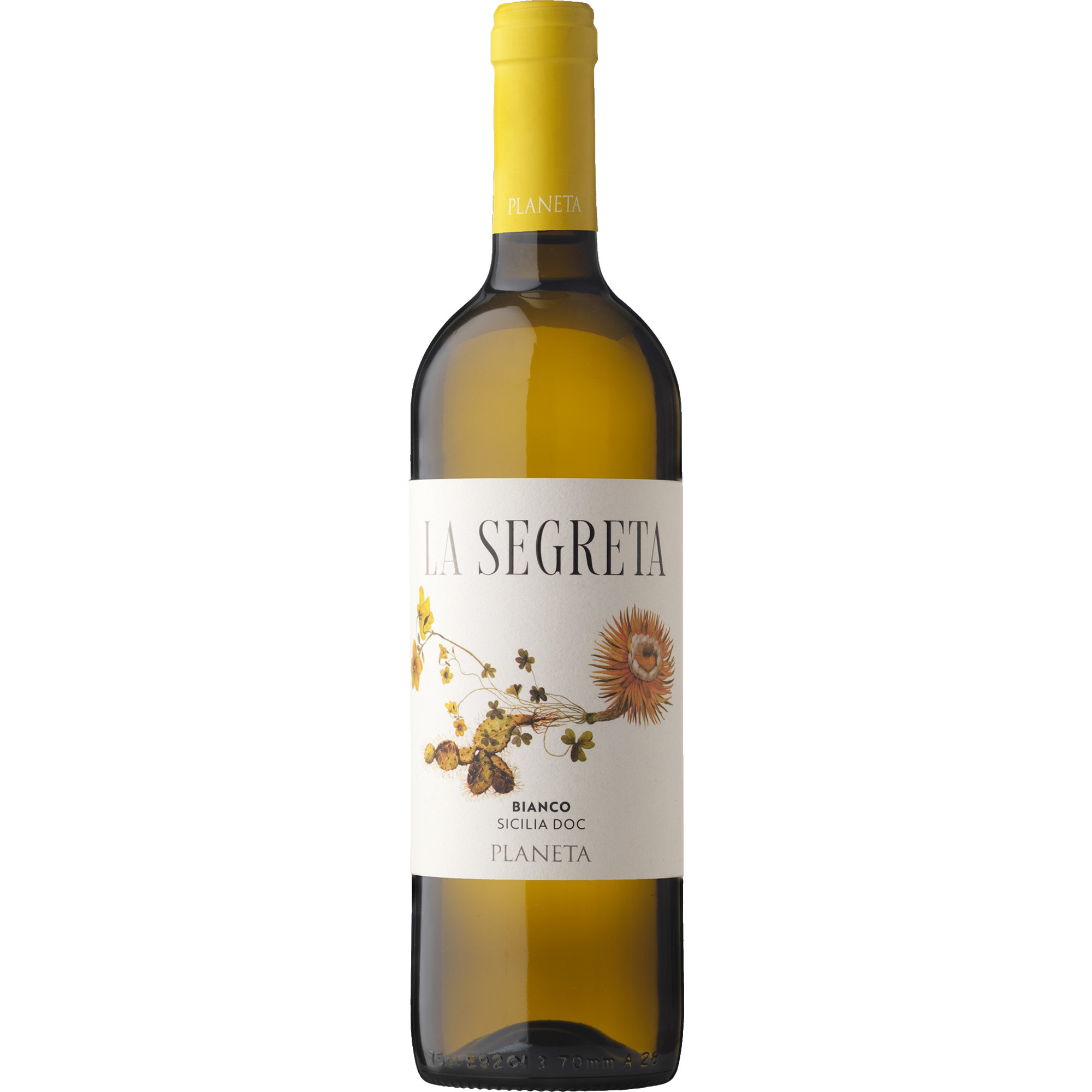 WirWinzer Select 2025 La Segreta bianco trocken