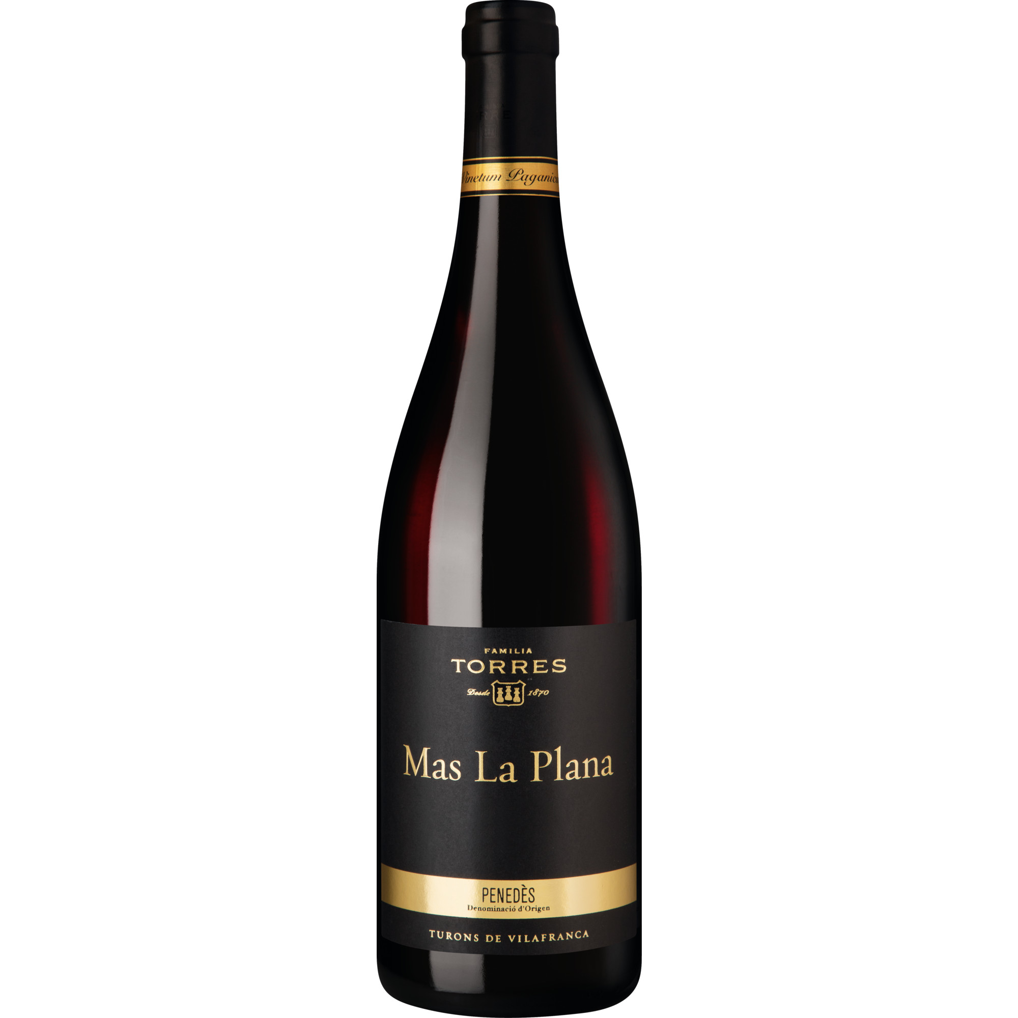 WirWinzer Select 2019 Mas La Plana Cabernet Sauvignon trocken
