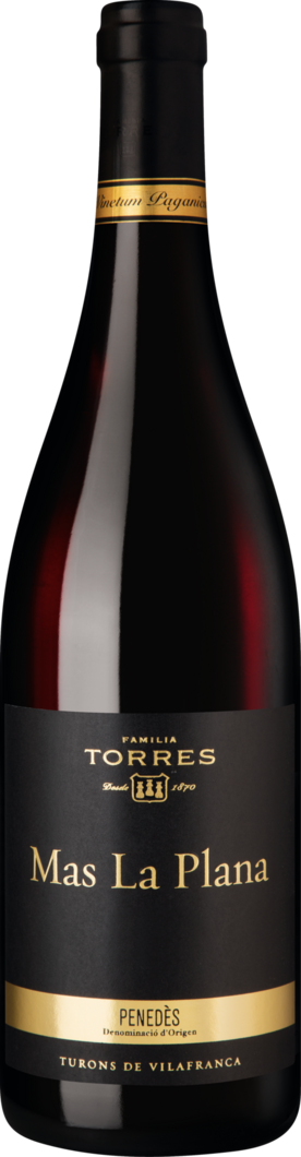 WirWinzer Select 2019 Mas La Plana Cabernet Sauvignon trocken