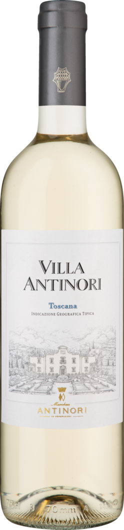 WirWinzer Select 2025 Villa Antinori Bianco trocken
