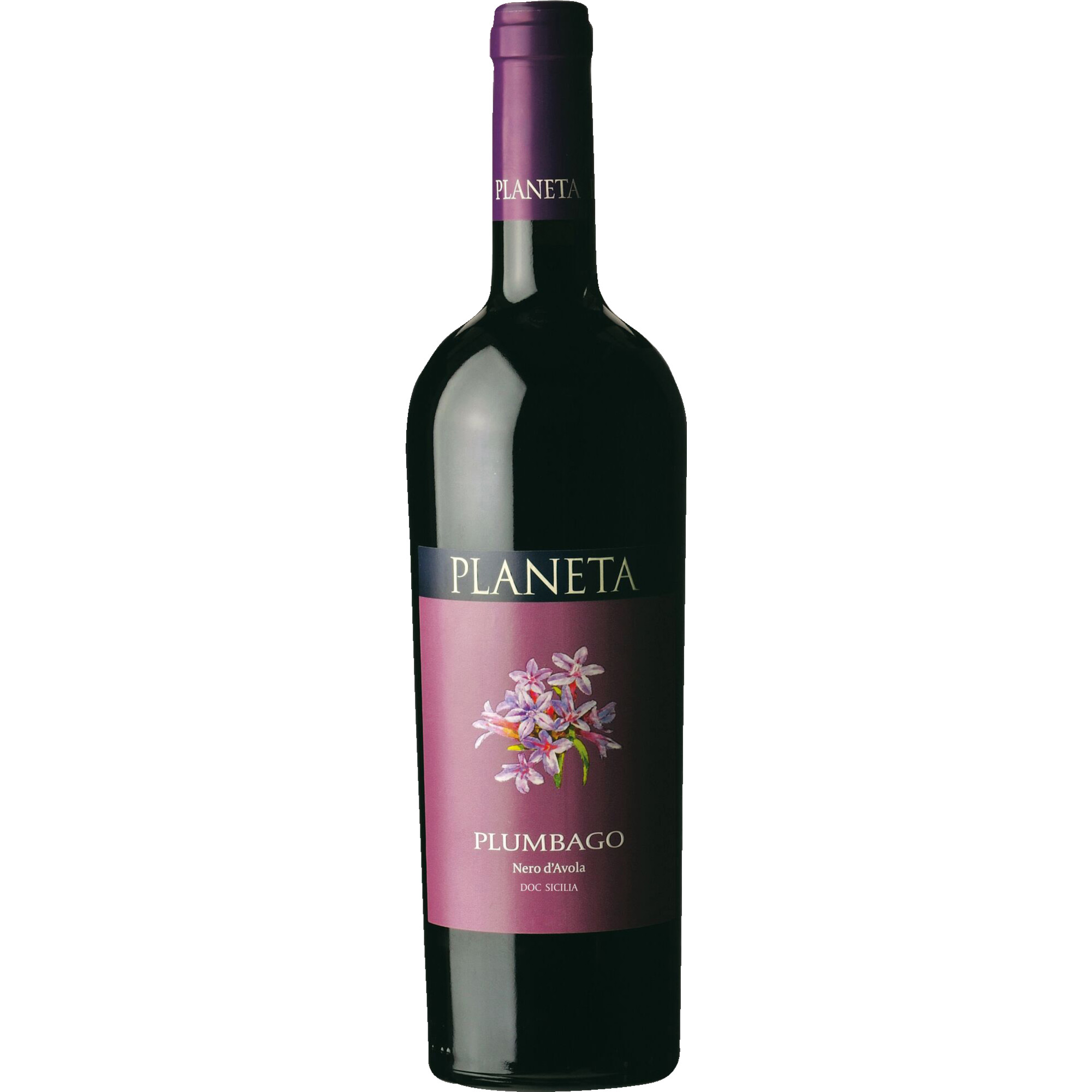 WirWinzer Select 2023 Plumbago Nero dAvola' trocken