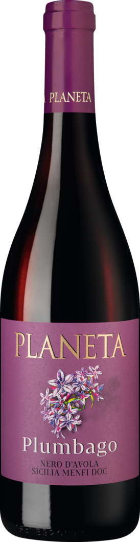 WirWinzer Select 2023 Plumbago Nero dAvola' trocken