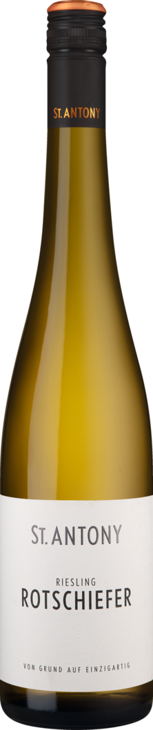 WirWinzer Select 2025 St. Antony Rotschiefer Riesling trocken