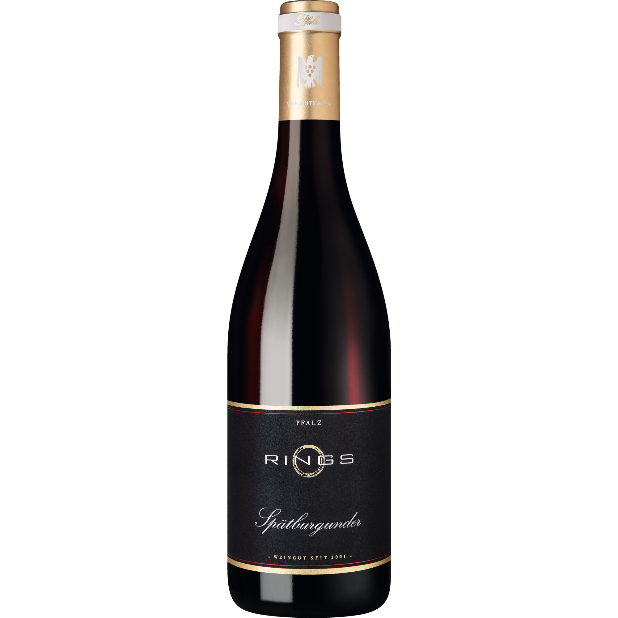 WirWinzer Select 2023 Rings Spätburgunder trocken