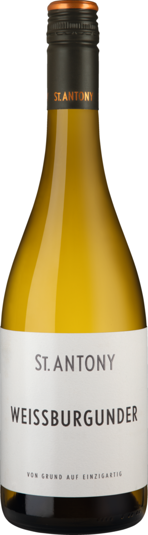 WirWinzer Select 2025 St. Antony Weissburgunder trocken