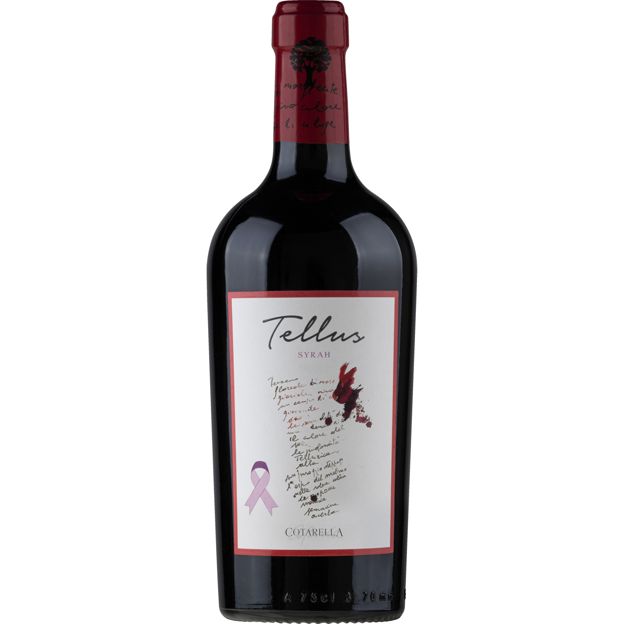 WirWinzer Select 2022 Tellus Syrah