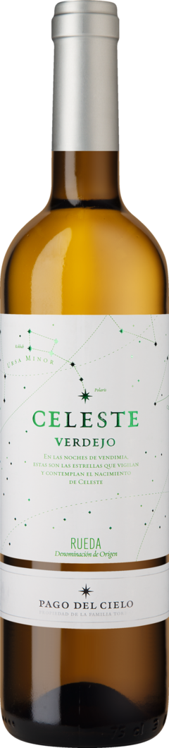 WirWinzer Select 2024 Pago del Cielo Celeste Verdejo trocken