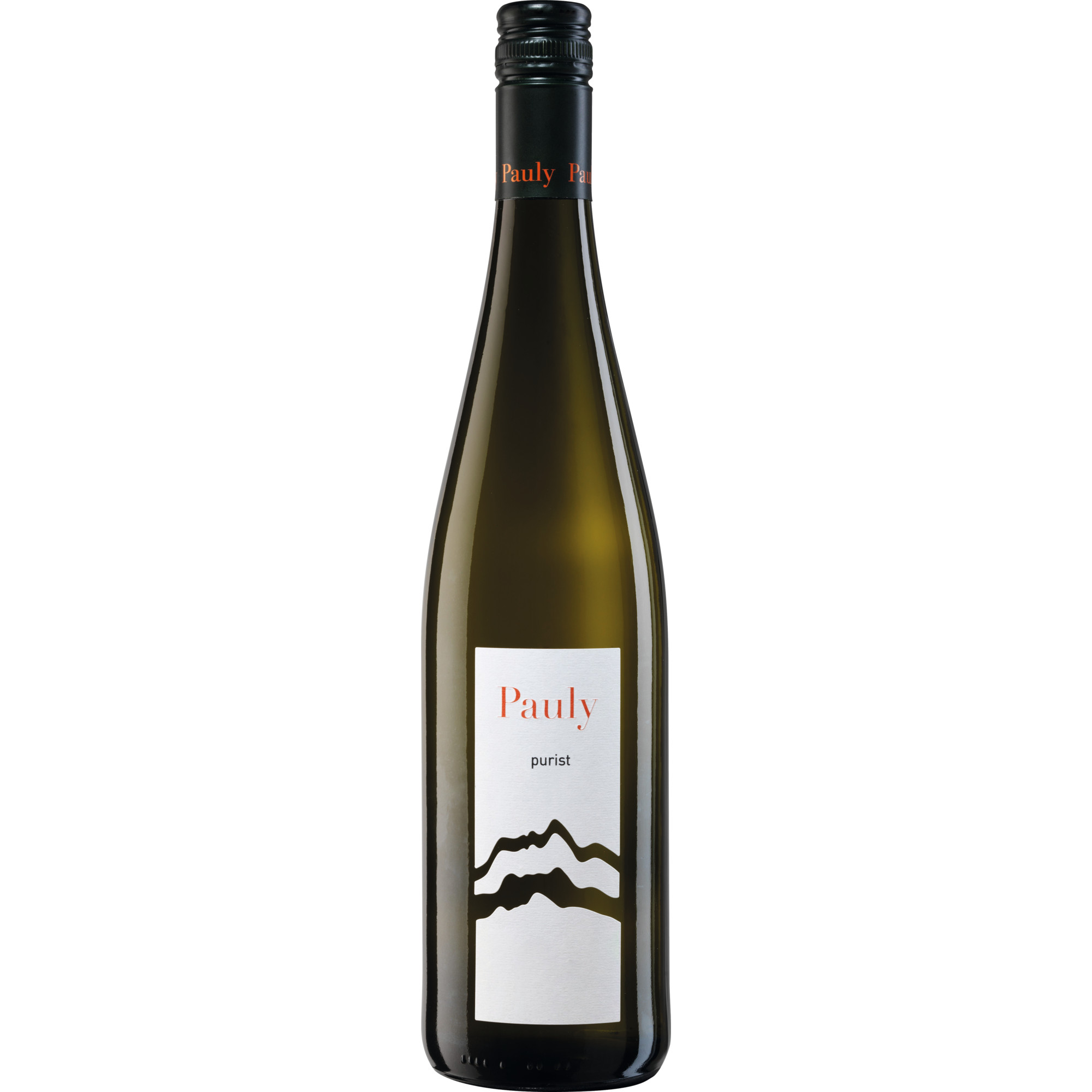 WirWinzer Select 2024 Purist Riesling trocken