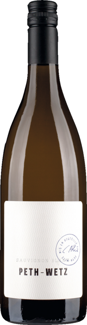 WirWinzer Select 2024 Peth-Wetz Sauvignon Blanc trocken